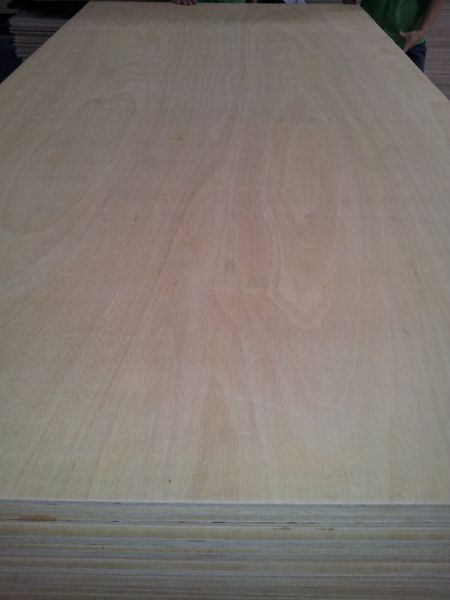 Commercial Plywood Sinowood